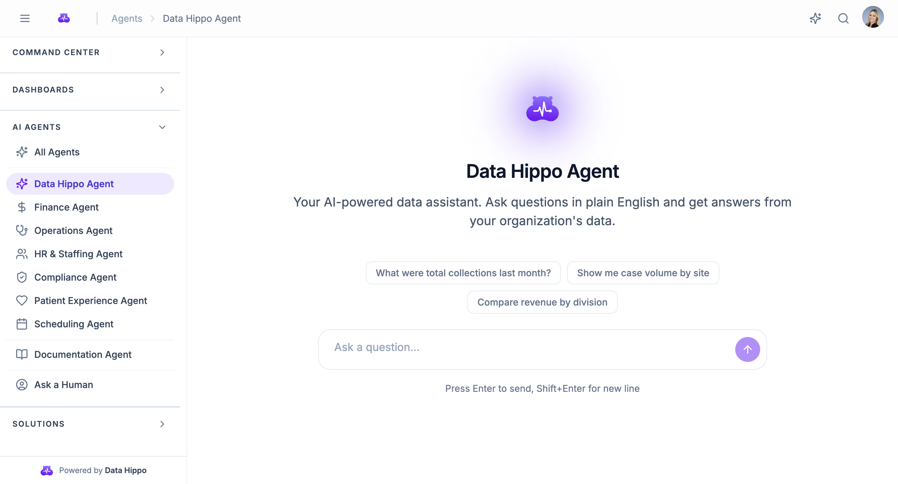 Data Hippo Agent interface — AI-powered data assistant with specialized agents for finance, operations, staffing, compliance, and more
